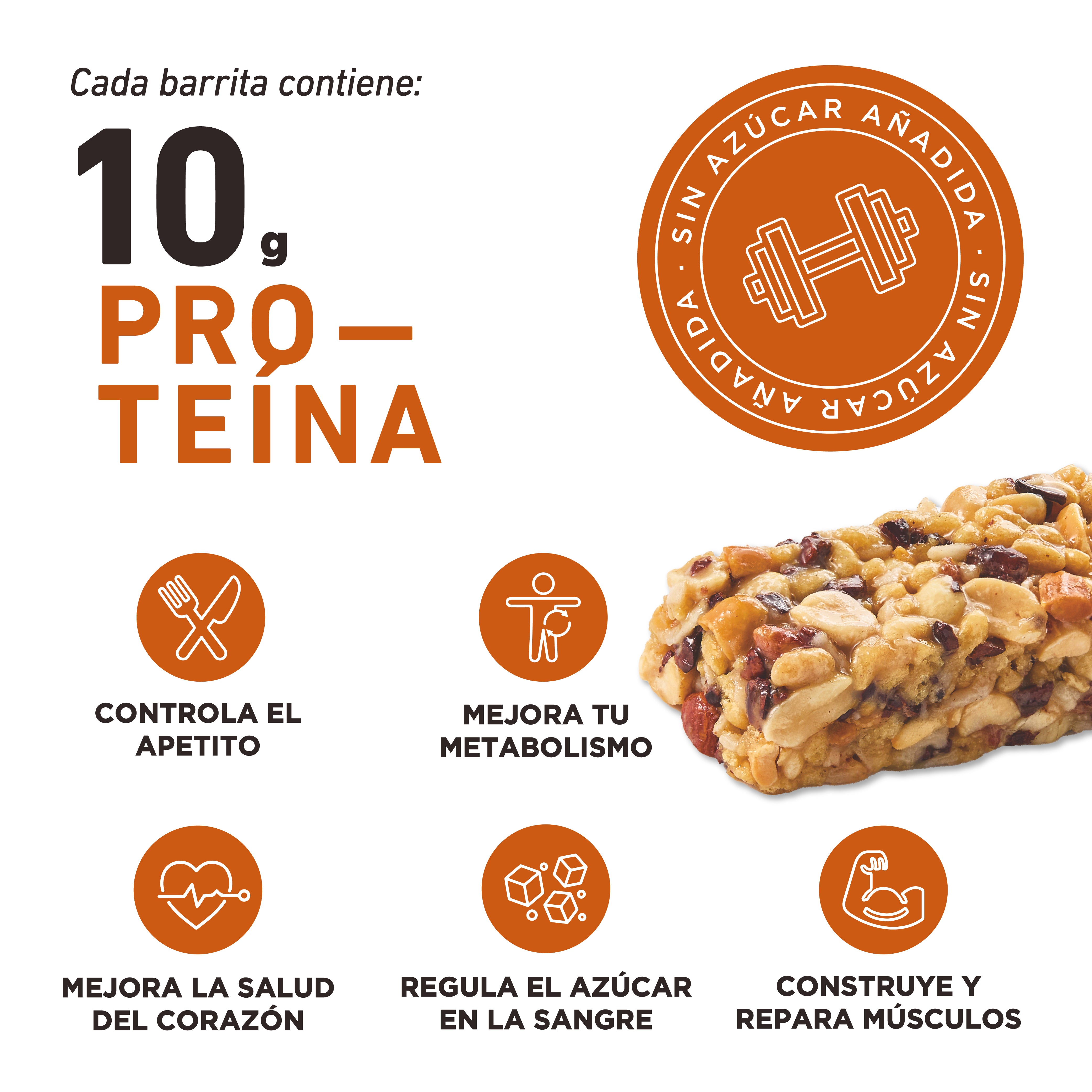 BARRINOLAS PROTEÍNA – Cacao Barrita Individual 48g