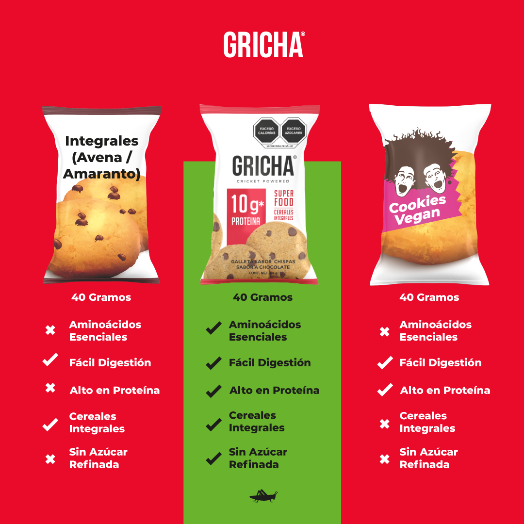 GALLETAS INTEGRALES CHISPAS CHOCOLATE