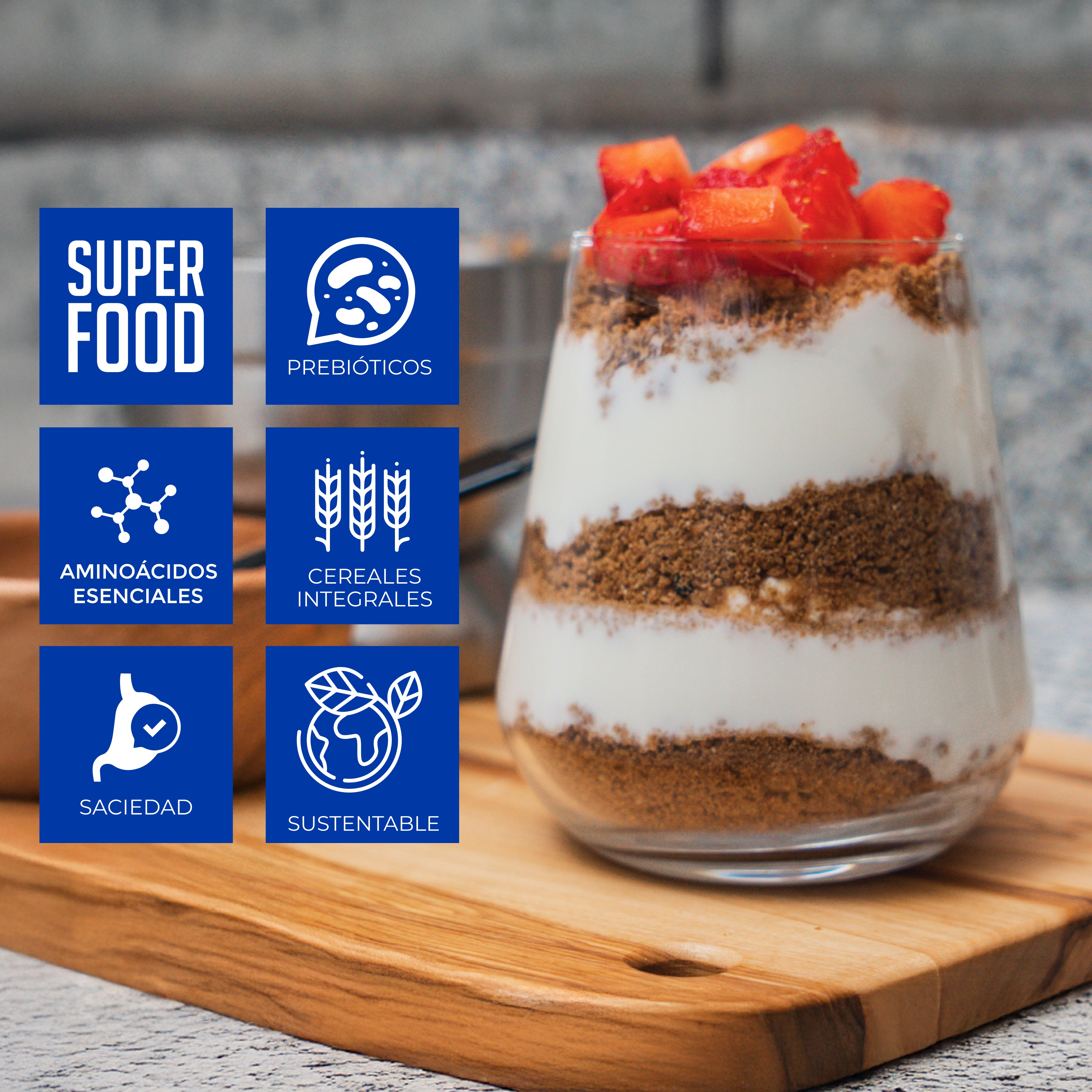 GALLETAS INTEGRALES CHOCOLATE 20 PACK