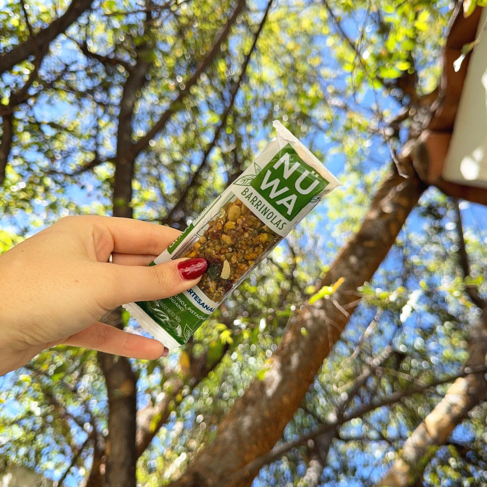 Mix de Barras (24 piezas)