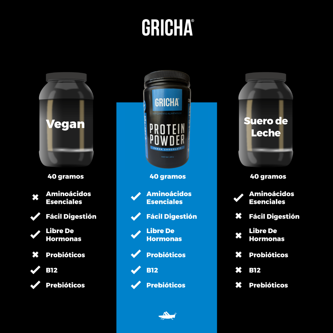 PROTEÍNA 800g CHOCOLATE