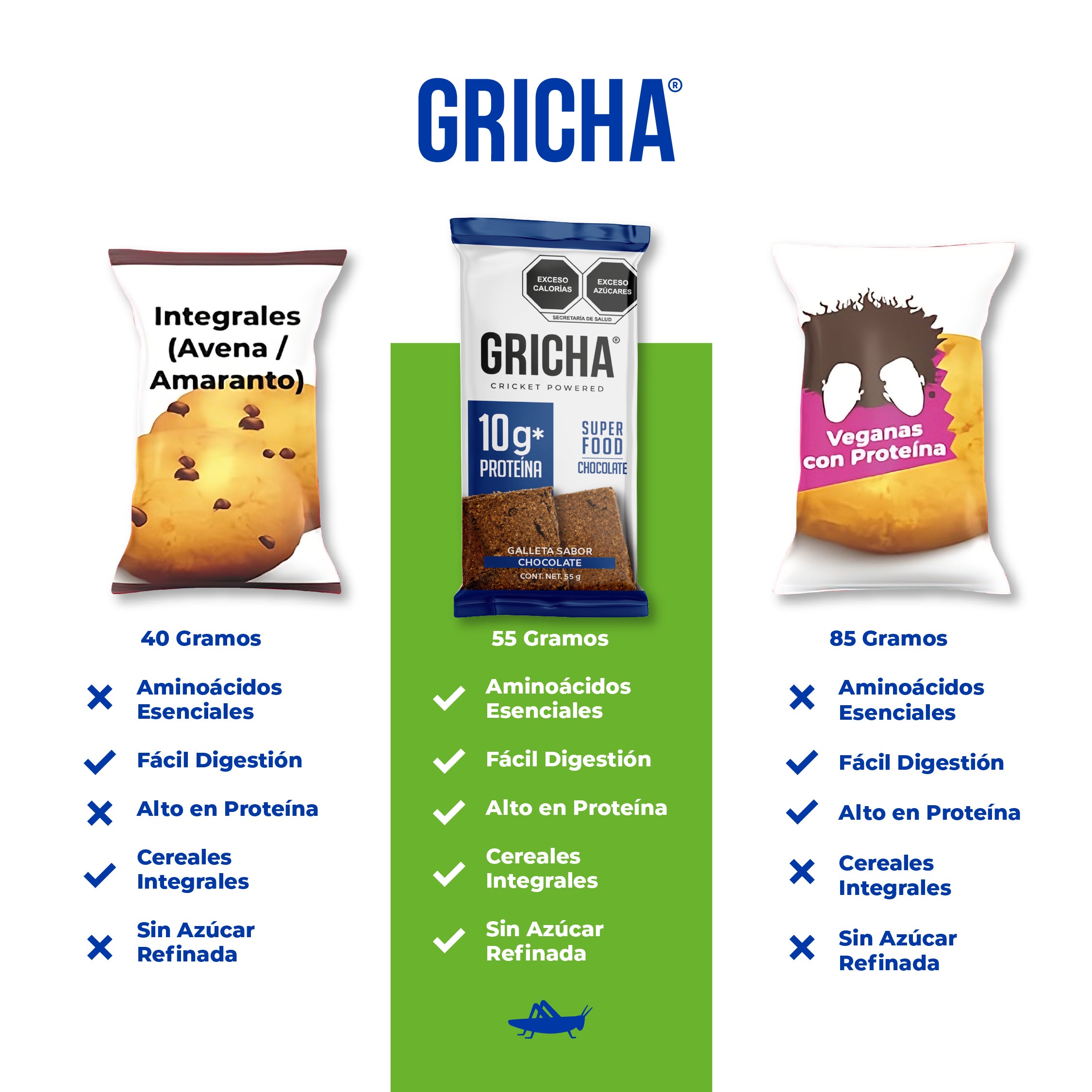 GALLETAS INTEGRALES CHOCOLATE 20 PACK