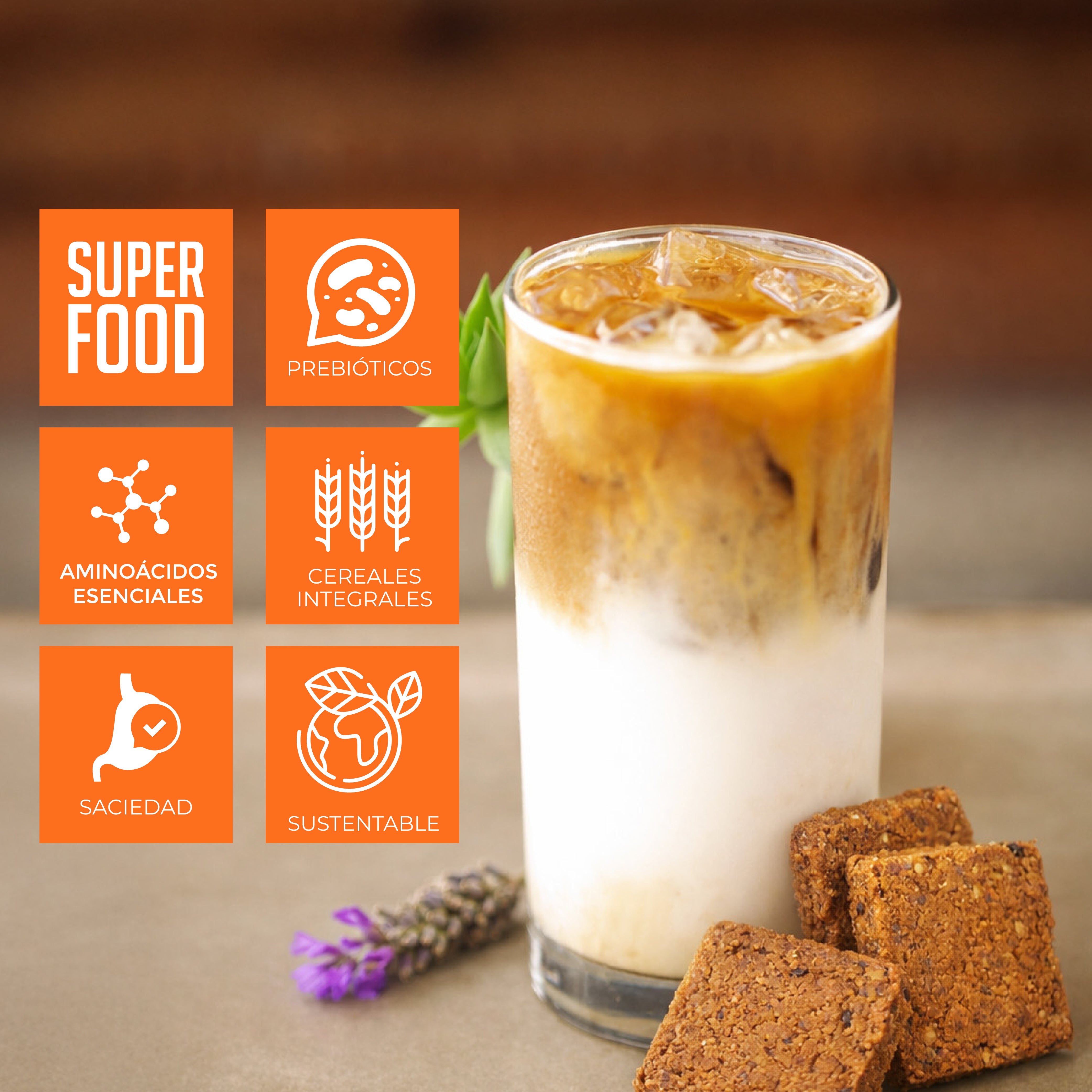 GALLETAS INTEGRALES NUEZ Y AVENA 20 PACK